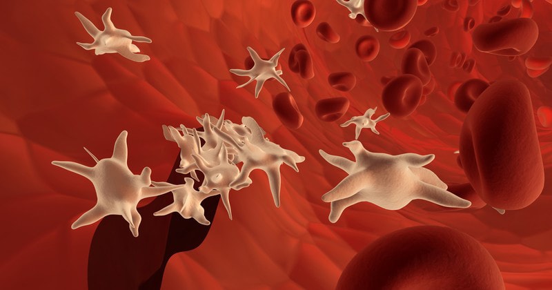 В общем анализе крови тромбоцитопения